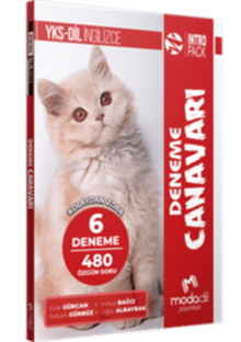 YKS-DİL INTROPACK - DENEME CANAVARI (6 DENEME)